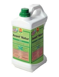 AVANT NATUR 8-4-6