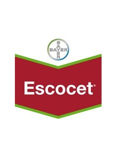 Escocet