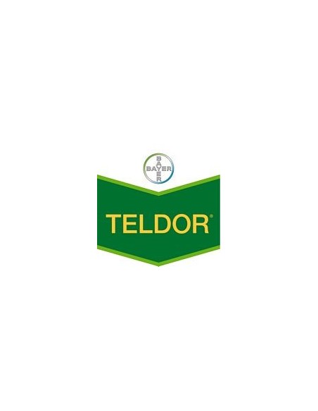 Teldor
