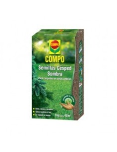 Semillas Césped Sombra