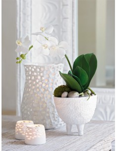 Complementos Maceteros