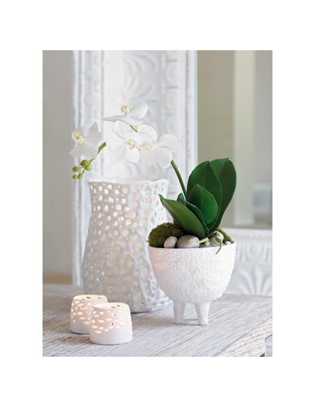 Complementos Maceteros